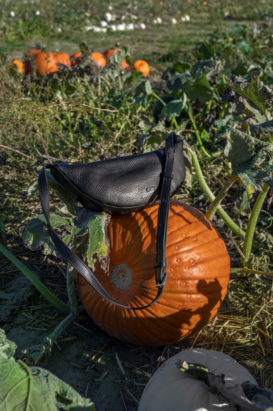 Leather fanny pack - Teca Black